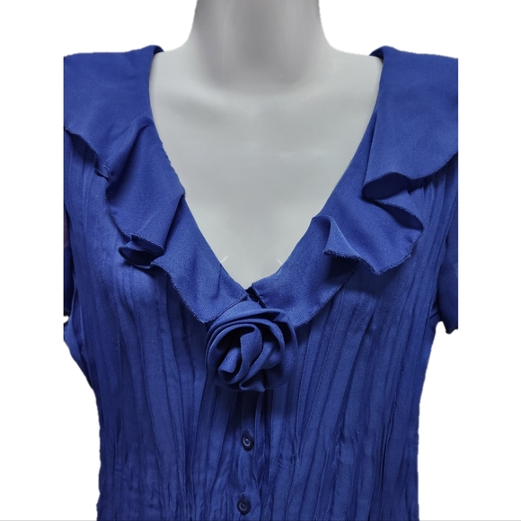 Sheer Ruffled Blouse - Picture 3 of 7